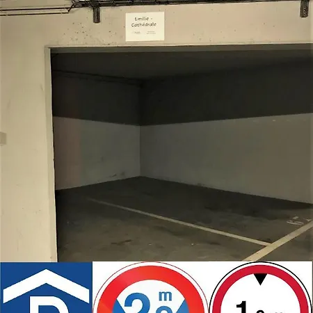 145m² Center 4 Bedrooms View Of The Cathedral Appartement Straatsburg