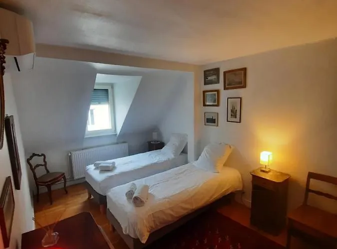 145m² Center 4 Bedrooms View Of The Cathedral Appartamento Strasburgo