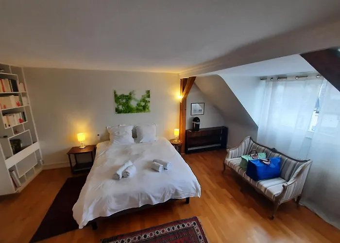 145m² Center 4 Bedrooms View Of The Cathedral * 斯特拉斯堡